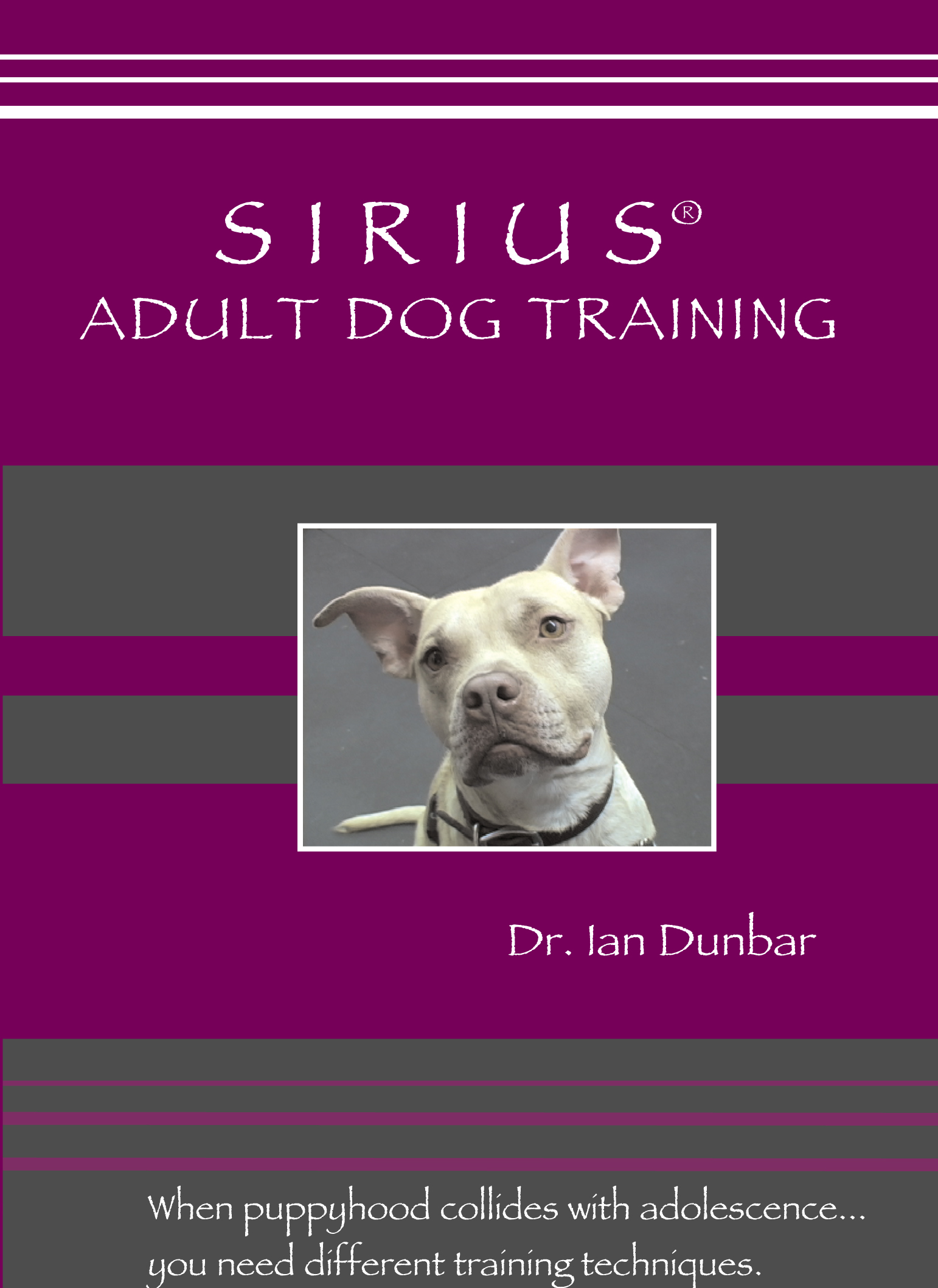 SIRIUS® Adult Dog Training